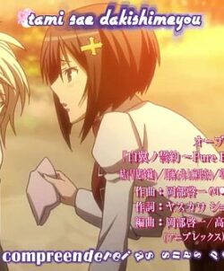 Anime hentai sekirei