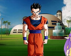 Gohan sexta