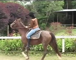 Atreinadora com seu cavalo