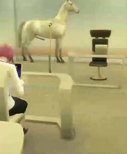 Escola de musica em macapa