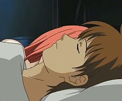 Digimon tamers 25th anniversary anime