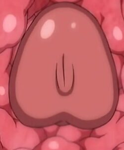 [马克杯]仪玄、符咒による强制発情(ゼンresゾーンゼロ) [中国 … E Hentai https://e hentai.org › …