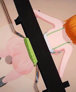 Irmão e irmãzinha anime